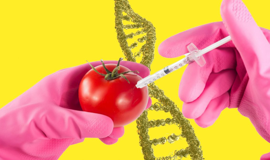 Оформить Протокол испытаний ГМО в Курске